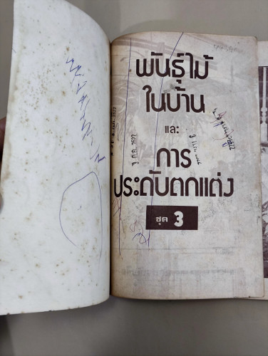 พันธุ์ไม้ในบ้านและการประดับตกแต่ง ชุด 3 พร้อมภาพประกอบ / ผลงานของ สุขหฤทัย / หนังสือตำหนิมีรอยขีดเขี 6