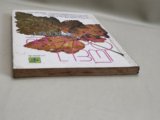 เพียงรอยอาลัย ผลงานของ รัศมีดารา 3