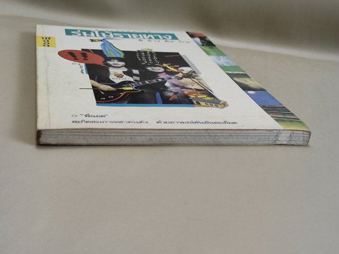 ร่มไม้รายทาง (สีข้างศิลปิน) / พี่ฉอด (สายทิพย์ ประภาษานนท์) 5