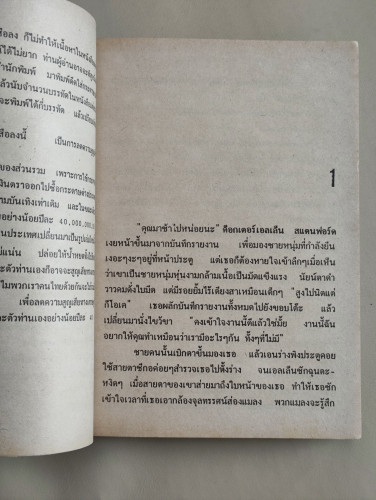 ไม่เจ๋งอย่าจีบ (Duplicity) / เพ็กกี้ เว็บบ์ (Peggy Webb) แปลโดย วรรณภา 8