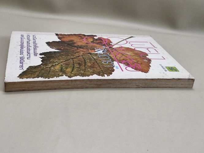 เพียงรอยอาลัย ผลงานของ รัศมีดารา 4