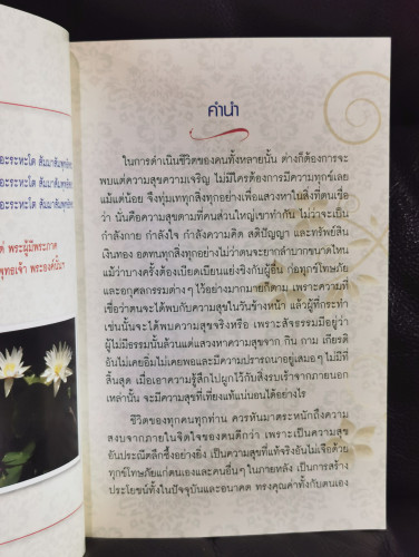 มาทำสมาธิกันเถอะ / พระราชวิริยาลังการ เจ้าอาวาสวัดไร่ขิง 5