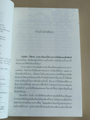 จารใจ ผลงานของ ไป๋ซิงหง 7