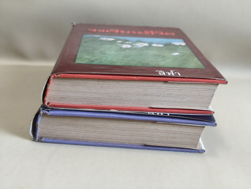 วงเวียนชีวิต (2เล่มชุด) ผลงานของ สีฟ้า (หม่อมหลวงศรีฟ้า (ลดาวัลย์) มหาวรรณ ศิลปินแห่งชาติ) 5