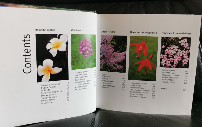 Flowers 1001 photos / Text and photo : Michel Viard 1