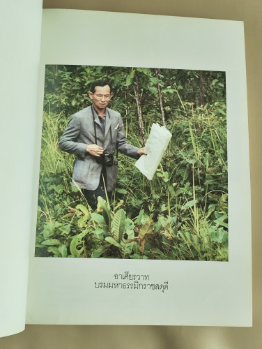 พรรณไม้ในสวนหลวงร.9 บรรณาธิการโดย คณิตา เลขะกุล 8