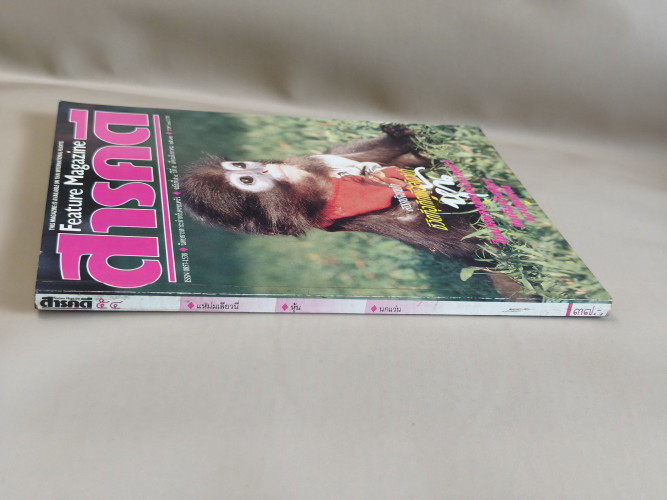 นิตยสารสารคดี ฉบับที่ 54 แหม่มเลียวนี่ , หุ้น , นกแว่น 2