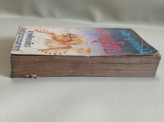 เลาะยุโรป และ รอยยิ้มแห่งเอเชีย ผลงานของ วาณิช จรุงกิจอนันต์ / ตำหนิตามภาพ 4