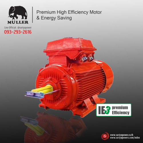 มุลเลอร์ Muller Motor IE3-22kW (30HP) Premium Efficiency มอเตอร์ประสิทธิภาพสูง ประหยัดพลังงาน
