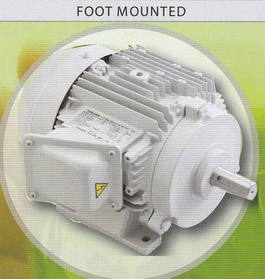TOSHIBA Motor มอเตอร์โตชิบา แบบขาตั้ง 3000 รอบ 50 แรงม้า รุ่น 2T50HPH