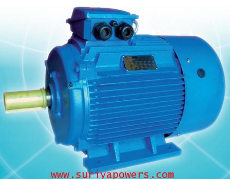 มอเตอร์อินไลน์ INLINE Motor รุ่น IF2-315S-4 110KW 4P 380V