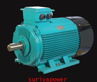 BROOK CROMTON (IE1) รุ่น BU-DF315SA 75KW 6P 380V มอเตอร์บรุ๊คคอมตัน 1