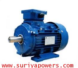 มุลเลอร์ Muller Motor 420 แรงม้า 2 โพล ขาตั้ง รุ่น QY2B -355L-2