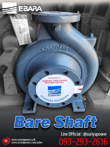 EBARA รุ่น 250x200FS4NA ท่อ10