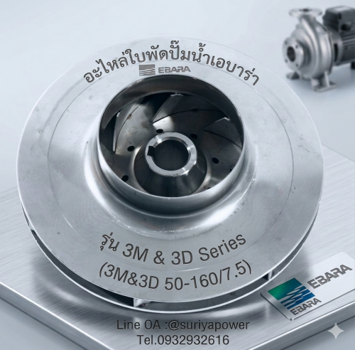 อะไหล่ใบพัดปั๊มน้ำ EBARA แท้ 100% สำหรับรุ่น 3D/3M 50-160/7.5 Material : Stainless Steel AISI304