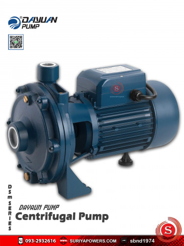 Dayuan Pump ปั๊มน้ำหอยโข่ง ปั๊มน้ำไดเจน รุ่น DSm-60 (220V)