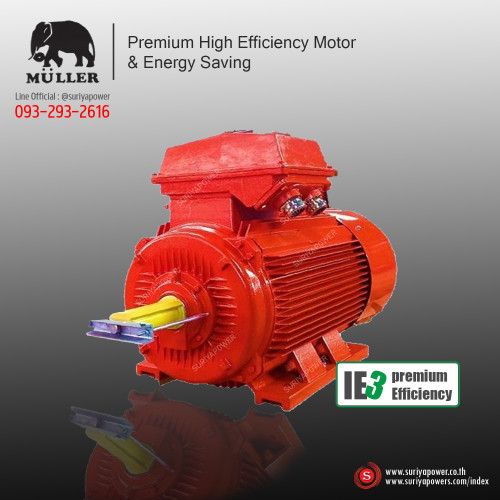 มุลเลอร์ Muller Motor IE3 250kW (340HP)