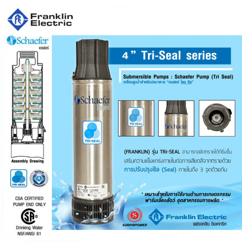 FRANKLIN เฉพาะปั๊ม 1 HP TRI25-07(70LD1P4-PEXB) 2