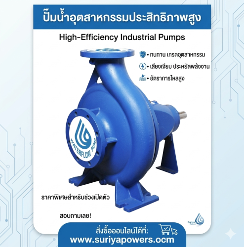 Waterflow รุ่น PA200/26 ปั๊มน้ำเพลาลอย ขนาดท่อ10