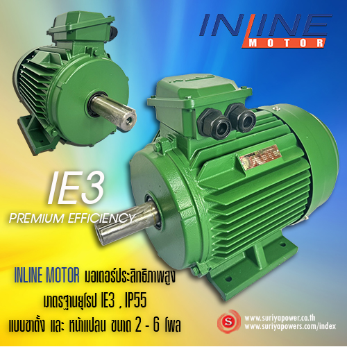 INLINE Premuim Efficiency Motor(IE3) รุ่น IF3-100L-2 3.0KW 3000rpm 380V มอเตอร์ประสิทธิภาพดีเยียม