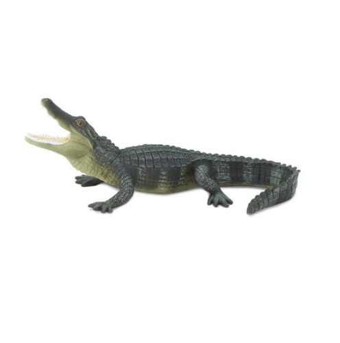 Safari Ltd. : SFR276429* โมเดลสัตว์ Alligator