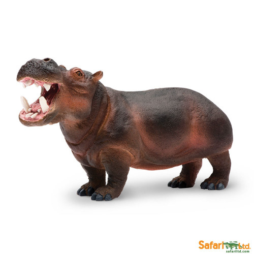 Safari Ltd. : SFR229029 โมเดลฮิปโปโปเตมัส Hippopotamus