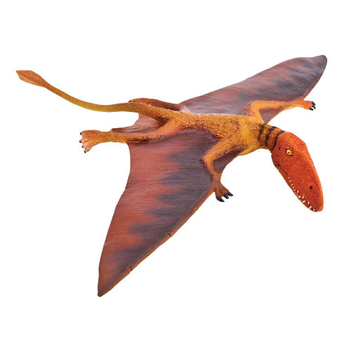 Safari Ltd. : SFR304729 โมเดลไดโนเสาร์ Dimorphodon