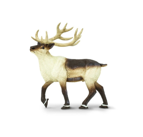 Safari Ltd. : SFR277929* โมเดลสัตว์ Reindeer