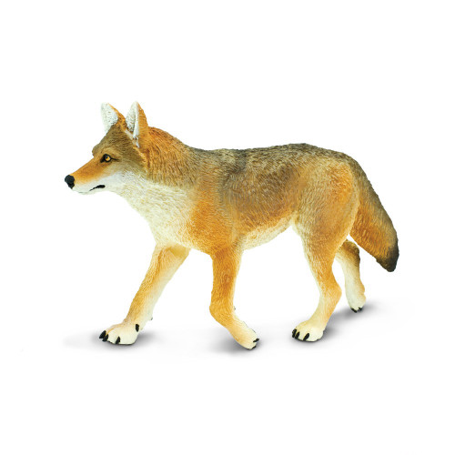 Safari Ltd. : SFR113089 โมเดลสัตว์ Coyote