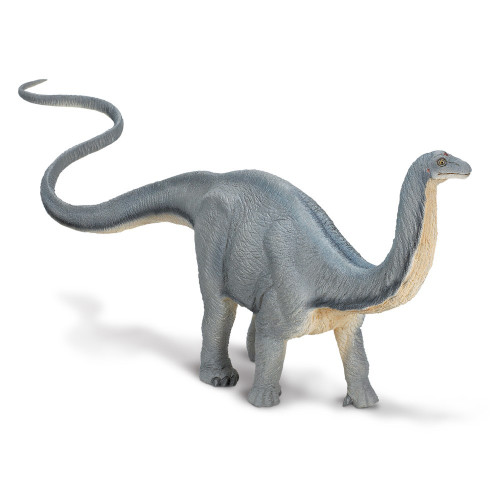 Safari Ltd. : SFR300429 โมเดลไดโนเสาร์ Apatosaurus