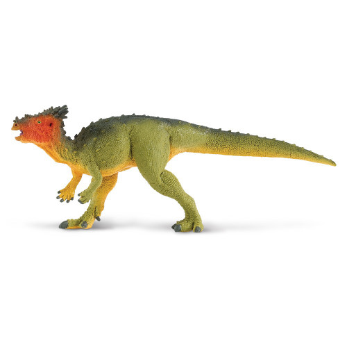 Safari Ltd. : SFR303129 โมเดลไดโนเสาร์ Dracorex