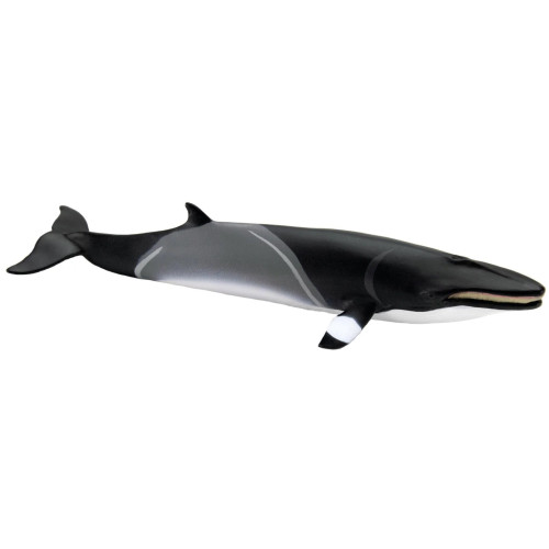 Safari Ltd. : SFR100413 โมเดลสัตว์ Minke Whale