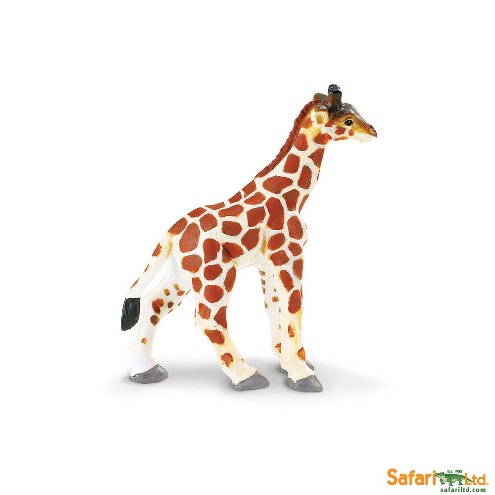 Safari Ltd. : SFR270729* โมเดลสัตว์ Giraffe Baby