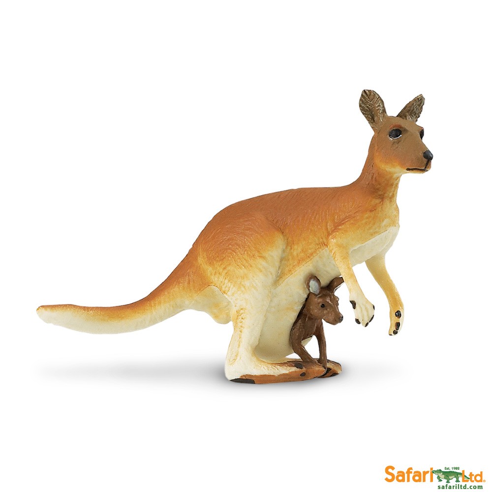 Safari Ltd. : SFR292029* โมเดลจิงโจ้ Kangaroo with Baby