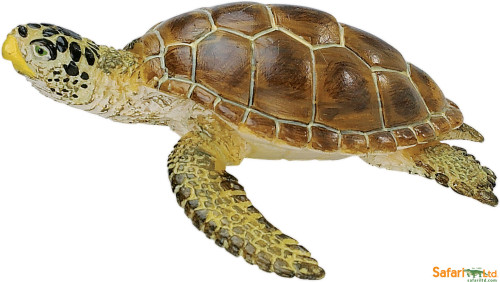 Safari Ltd. : SFR220229 โมเดลสัตว์ Loggerhead Turtle