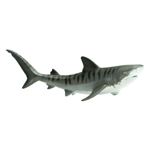 Safari Ltd. : SFR202229 โมเดลสัตว์ Tiger Shark