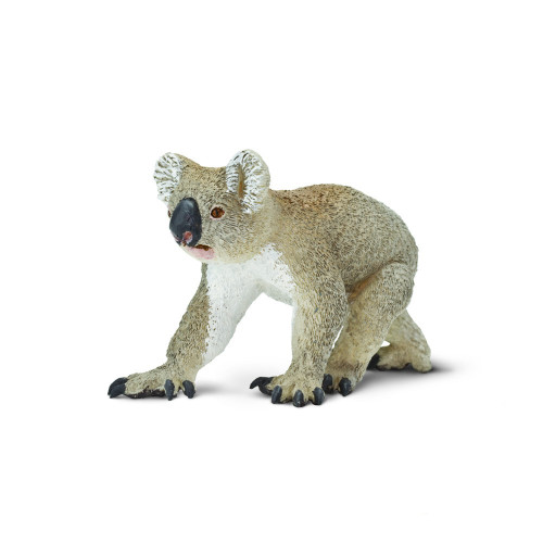 Safari Ltd. : SFR225329 โมเดลสัตว์ Koala