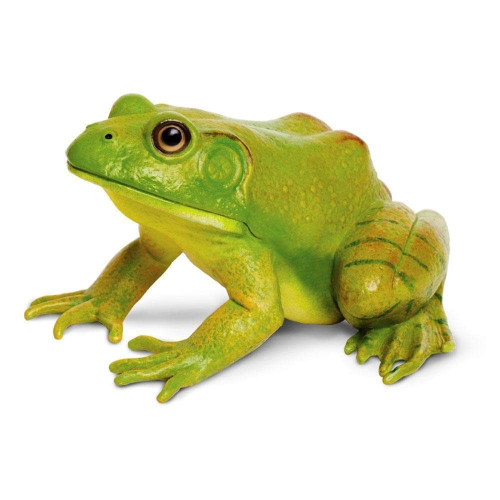 Safari Ltd. : SFR268729* โมเดลสัตว์ American Bullfrog