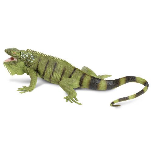 Safari Ltd. : SFR267729 โมเดลอิกัวน่า Iguana