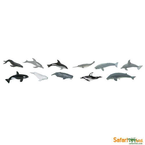 Safari Ltd. : SFR694704 โมเดลสัตว์แบบเเพ็คหลอด Toob - Whales  Dolphins
