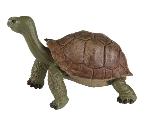 Safari Ltd. : SFR272529* โมเดลสัตว์ Giant Tortoise