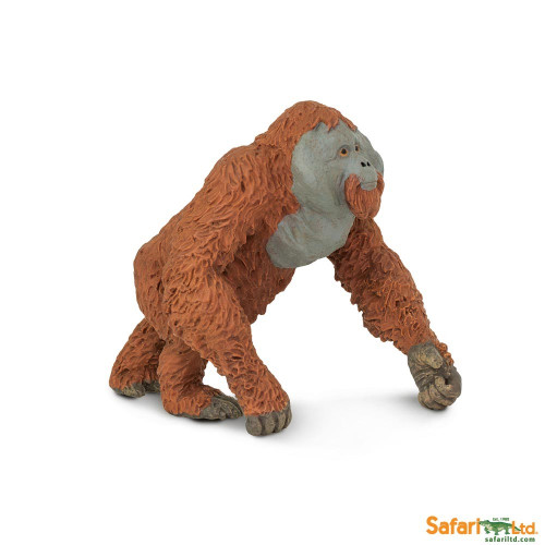 Safari Ltd. : SFR292929 โมเดลอุรังอุตัง Male Orangutan