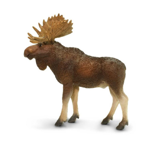 Safari Ltd. : SFR181029* โมเดลสัตว์ Bull Moose