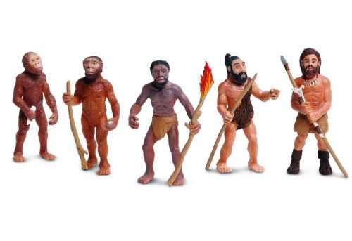 Safari : SFR663816 วิวัฒนาการมนุษย์ Evolution of Man