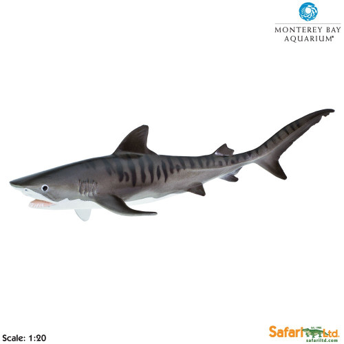 Safari Ltd. : SFR211702 โมเดลฉลามเสือ Tiger Shark
