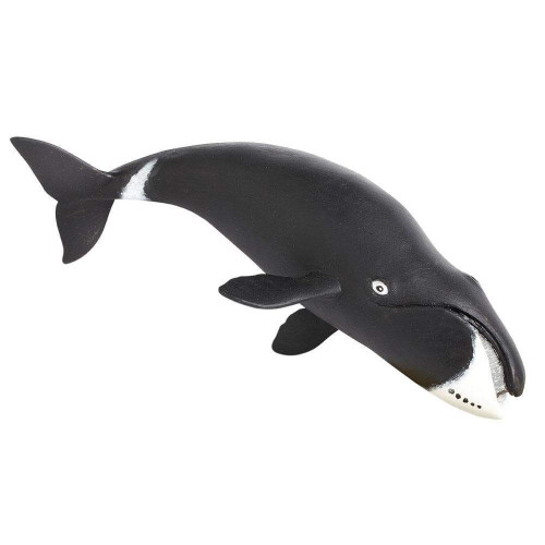 Safari Ltd. : SFR205529* โมเดลสัตว์ Bowhead Whale