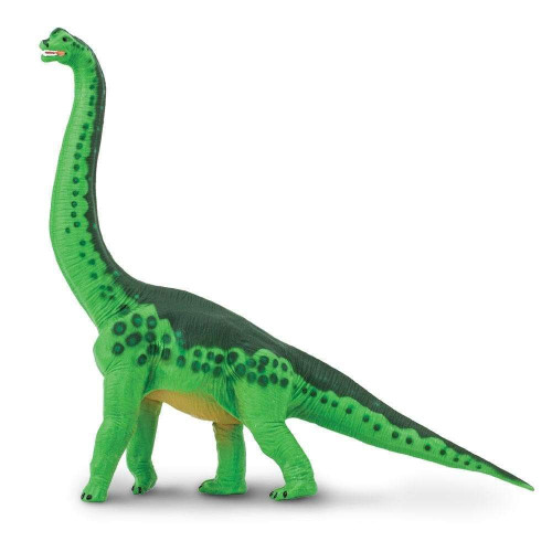 Safari Ltd. : SFR278229 โมเดลไดโนเสาร์ Brachiosaurus
