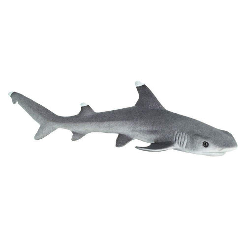 Safari Ltd. : SFR100100* โมเดลสัตว์ Whitetip Reef Shark