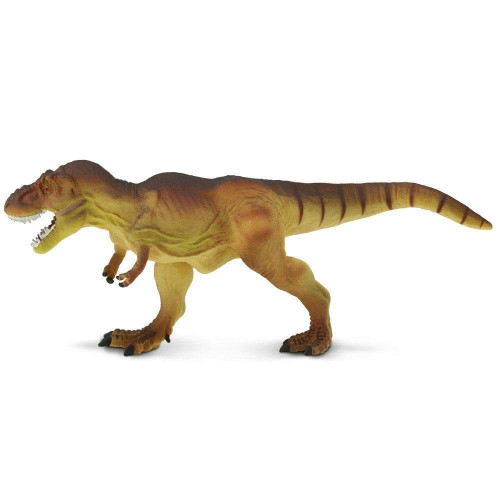 Safari Ltd. : SFR300729 โมเดลไดโนเสาร์ Tyrannosaurus Rex