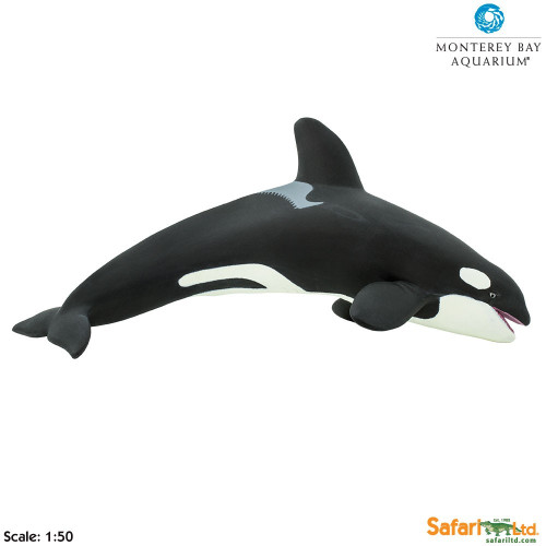 Safari Ltd. : SFR210202 โมเดลวาฬออก้าร์หรือวาฬเพชรฆาต Killer Whale